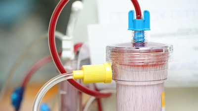 Target 2
International Medical Supplies Company B
Industry: Blood Purification