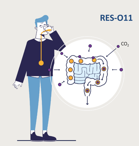 RES - O11 Project